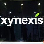 XYNESIS